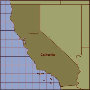 brown-recluse-california